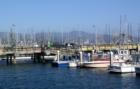 Princeton Pillar Point harbour