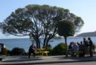 Waiting for a table in Barbara's Fishtrap