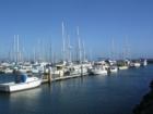 Pillar Point harbour as seen from Barbara's Fishtrap