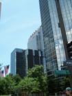 beautiful down town tampa