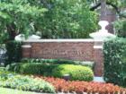 University of TAMPA