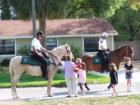 Local Sheriffs department has a officer on horseback program.   They scout out  the local area and patrol nearby neighborhoods on horseback