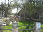 Salt Lick BarbeQue