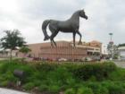 The statue is of the famous Arabian Stud Morafic 1956 to 1974.  For 9 years in Egypt and 9 years at Gleannloch Farms Morafic sired foals inbred with their father's qualities of spirit & refinement.