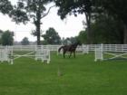 White fence rails, towering pines and beautiful riding arenas complete the picture to make it reminiscent of days gone by when Gleannloch Farms was famous as an Arabian horse farm. 