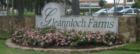 Gleannloch Farms located in Spring TX is a 2,100 acre premier master planned community.  It is located on Spring Cypress Road just east of Highway 249.   The surroundings are beautiful and the amenities are incredible.  
