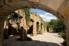 Ladybird Johnson Wildflower center # 2