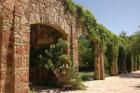 LadyBird Johnson Wildflower center # 3