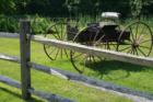 old horse and buggy at Marlborough Barn