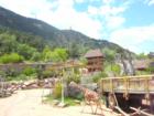 Cheyenne Mountain Zoo