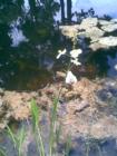 Outside near a water canal