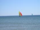 Hampton Beach sail boat reggatta