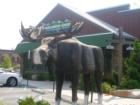 Dining in Fayette: Bugaboo Creek Steak House