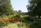 Lincoln Park