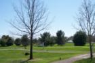 Passaconaway Country Club -- & golf course
      (c) Joan Whitebook