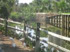 A Charming & tranquil location for bird feeding right on Country Club Drive.