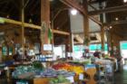 Farm Fresh Produce - straight from the farm
      (c) Joan Whitebook