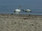 Spending a lovely morning in Oyster Bay Cove, Long Island New York by Feng Shui Long Island 