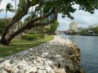 Along Fort Lauderdale's Riverwalk