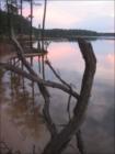 Vast natural resources at Lake Jordan