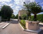 Ponciana Island
