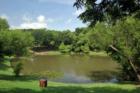 A large pond located at Bentwood Park