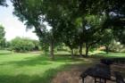 Lots of BBQ, park benches and picnic tables provided by City of Dallas