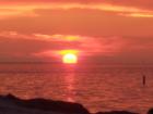 Just one of the many...Fred Howard Park Sunset