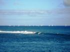Surfers and sail boats off of Kewalo Basin