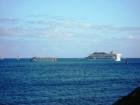 The dinner boats are heading out