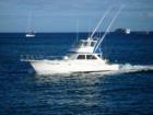 The tourist are returning after a day if deep sea fishing.