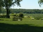 St. James, Long Island, New York.  A favorite lovely park, many weddings take place here.  By Feng Shui Long Island Consultant, New York City
