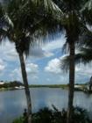 This is Paradise - SW Cape Coral 