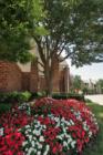 Homeowners love to take care of their homes with lavish landscapes
