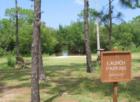 Fred Howard Park is a large park with much to offer including this kayak and canoe launch into the mangroves here