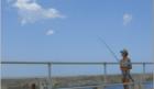 Fred Howard Park in Tarpon Springs offers great fishing, dog park, trails, kayaking, swimming and more