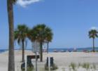 No one is left out of the fun at Fred Howard beach - these sand wheelchairs make the beach accessible for so many more... 