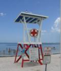 Fred Howard beach has lifeguards on duty and it is a great family beach in Tarpon Springs