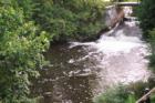 One of the many old dams left over from a bygone era when water was used to power local mills in and around Uxbridge.