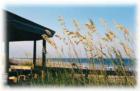 The county offers a blend of rural area with huge moss-covered oaks, rivers, bays and 13 miles of uncrowded beaches on Amelia Island bordered by the Atlantic Ocean. 