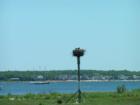 Mattapoisett