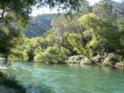 Canyon Creek - Putah Creek