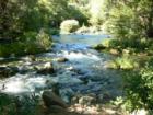 Putah Creek - Winters