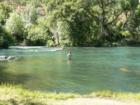 Putah Creek - Trout Fly Fishing