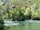 The River Rushing - Canyon Creek