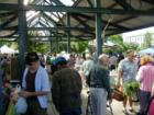 Scene at Walla Walla farmers market