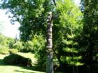 Totem pole on grounds of Whitman College, Walla Walla