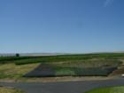 Vinyards and Lavender fields, Walla Walla
