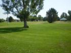 40 Acres to run and play in Kanemoto Park