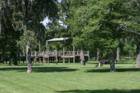 Burroughs park has an observation deck where you can observe all the goings on about the lake and the park